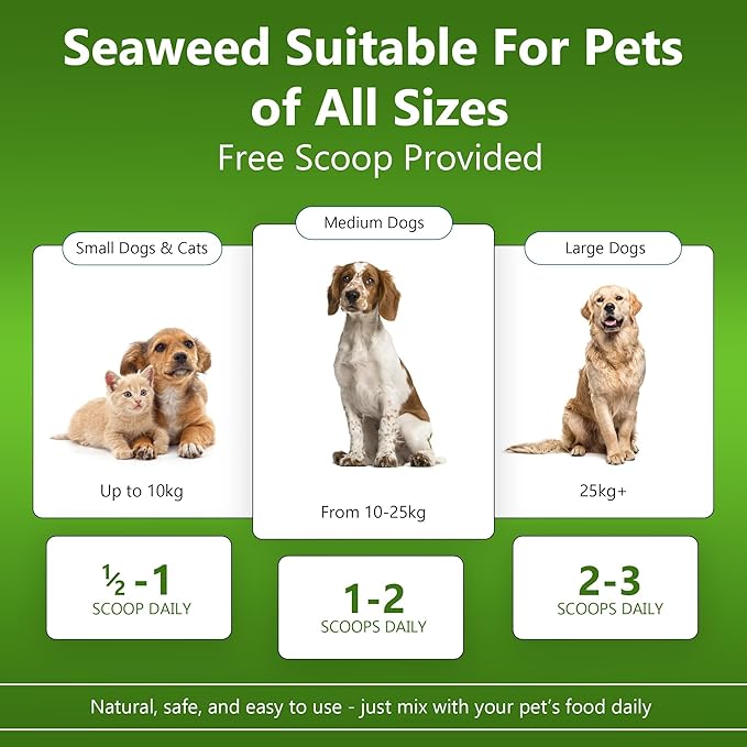 PLAQUE OUT 450g Pot - Plaque Off Remover - 100% Natural and Organic Seaweed Powder for Dogs & Cats - Dog Teeth Cleaning, Plaque Removal, Pet Dental Care, Bad Breath, Gum Care and Tartar Control