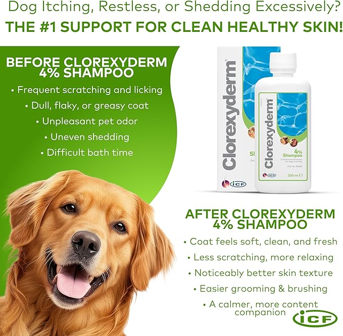 ICF | Clorexyderm 4% Dog Shampoo for Itchy Skin Relief | Anti Itch + Antifungal + Antibacterial Shampoo for Pets with Sensitive Skin 200ml