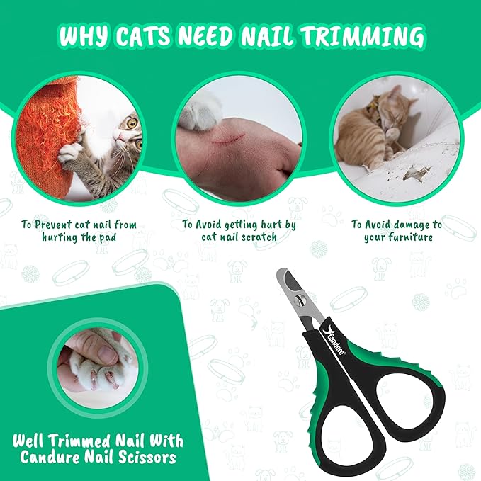 Candure Cat Nail Clippers Stainless Steel Cat Claw Trimmers for Rabbits,Guinea Pigs, Birds, Puppies, Kittens and Small Animals- Pet Nail Clipper for Professional and Home Use 3.5" (Green)