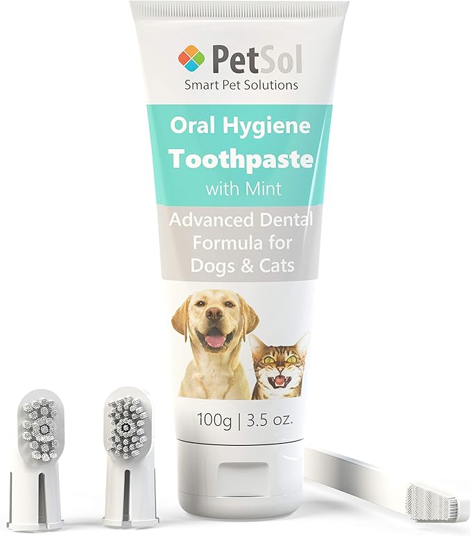 Dental Care Kit for Dogs & Cats Toothpaste (100g) with 3 x Toothbrushes to Clean Pet's Teeth, Remove Plaque and Tartar, Improve Gum and Tooth Health & Pet Oral Hygiene
