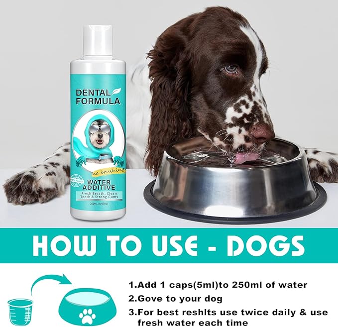 Bailey & buddies Dental Formula Water Additive For Dogs & Cats - Clean Teeth, Healthy Gums & Fresh Breath - Manage Plaque & Tartar Build-Up - No Brushing Needed - Oral Health (Single Pack)