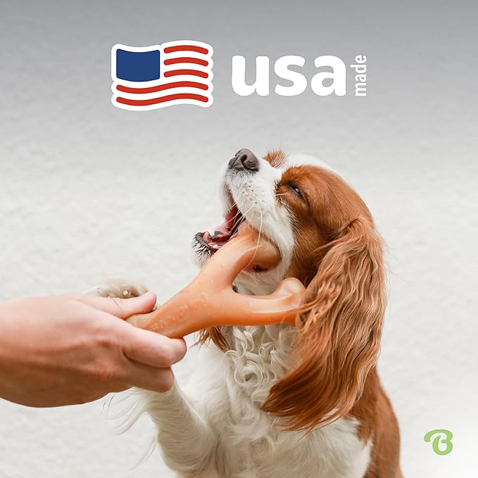 Benebone Indestructible Wishbone Dog Chew Toy for Aggressive Chewers, Long Lasting Tough Boredom Breaker for Dogs, Real Bacon Flavour, For Small Dogs, Made in the USA