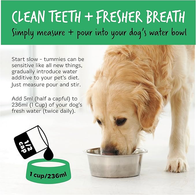 BUGALUGS Dog Breath Freshener Dental Care Water Additive. Clean Teeth, Healthy Gums & Fresh Breath - Natural Dog plaque remover & tartar remover for teeth - No Brushing Needed 500ml