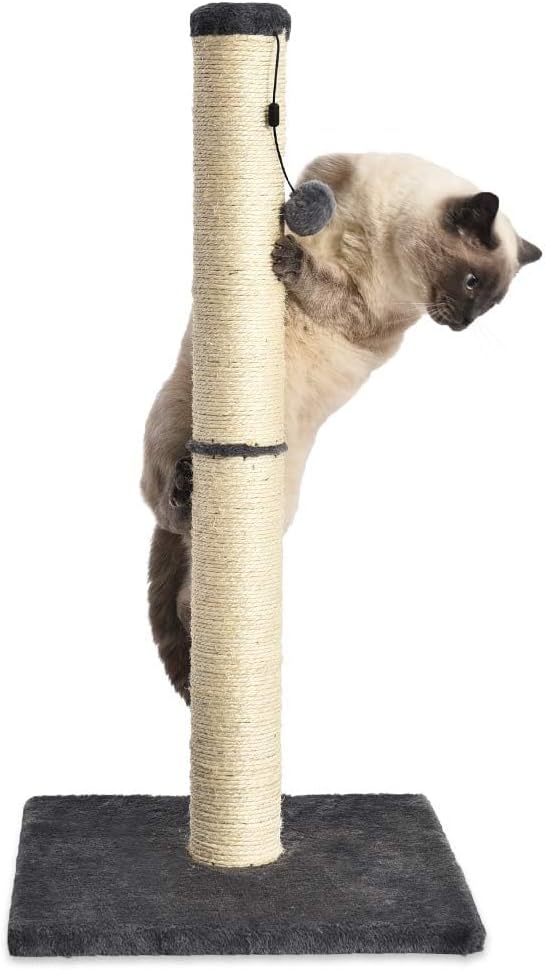 Shopify Basics Cat Scratching Post for Indoor Cats, Standard with Dangling Toy, 80 cm, Grey