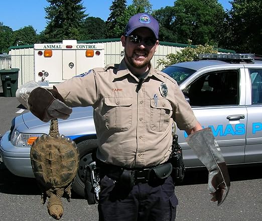 RAPICCA Animal Handling Gloves Bite Proof Reinforced Leather Padding Dog,Cat Scratch,Bird Handling Falcon Gloves Grabbing,Reptile Squirrel Snake Bite 16in/40cm