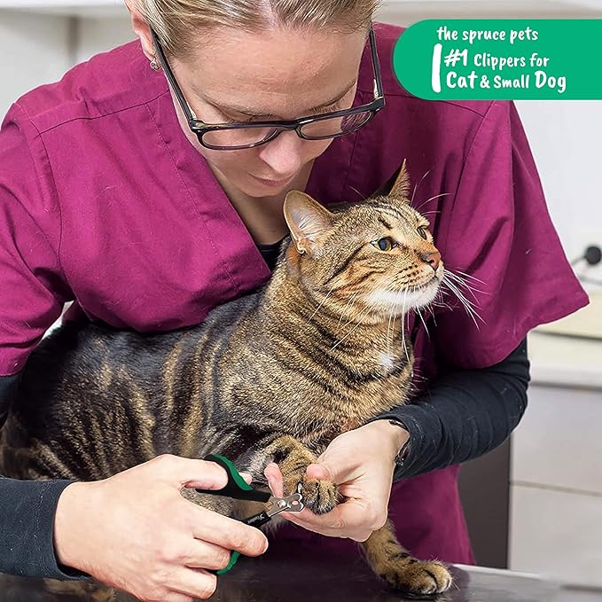 Candure Cat Nail Clippers Stainless Steel Cat Claw Trimmers for Rabbits,Guinea Pigs, Birds, Puppies, Kittens and Small Animals- Pet Nail Clipper for Professional and Home Use 3.5" (Green)