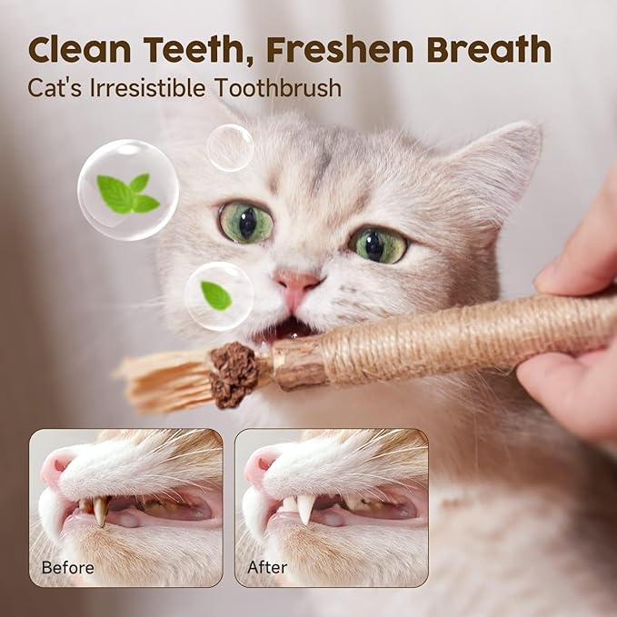 Cat Silvervine Chew Sticks, 3pcs Natural Cat Teeth Nip Cleaning Catnip Toys for Indoor Cats Kitten Teething and Stress