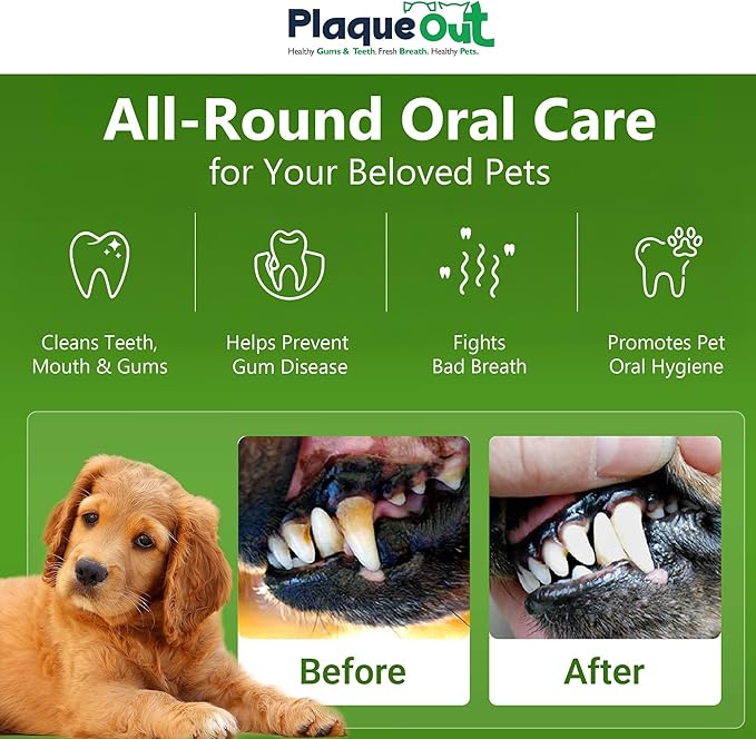 PLAQUE OUT 450g Pot - Plaque Off Remover - 100% Natural and Organic Seaweed Powder for Dogs & Cats - Dog Teeth Cleaning, Plaque Removal, Pet Dental Care, Bad Breath, Gum Care and Tartar Control