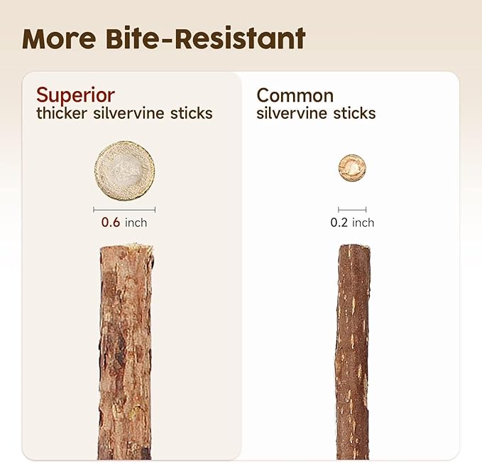 Cat Silvervine Chew Sticks, 3pcs Natural Cat Teeth Nip Cleaning Catnip Toys for Indoor Cats Kitten Teething and Stress