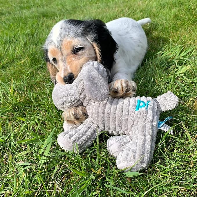 Petface (Little Petface) Freddi Cord, Plush Puppy Dog Toy