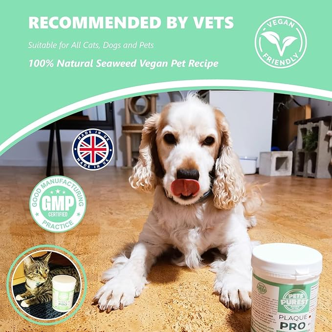 Pets Purest Plaque Off Powder - 185g Plaque Pro Tartar & Plaque Remover for Dogs, Cats & Pet. 100% Natural Bad Breath, Teeth & Gum Disease Oral Health Hygiene Dental Care Formula
