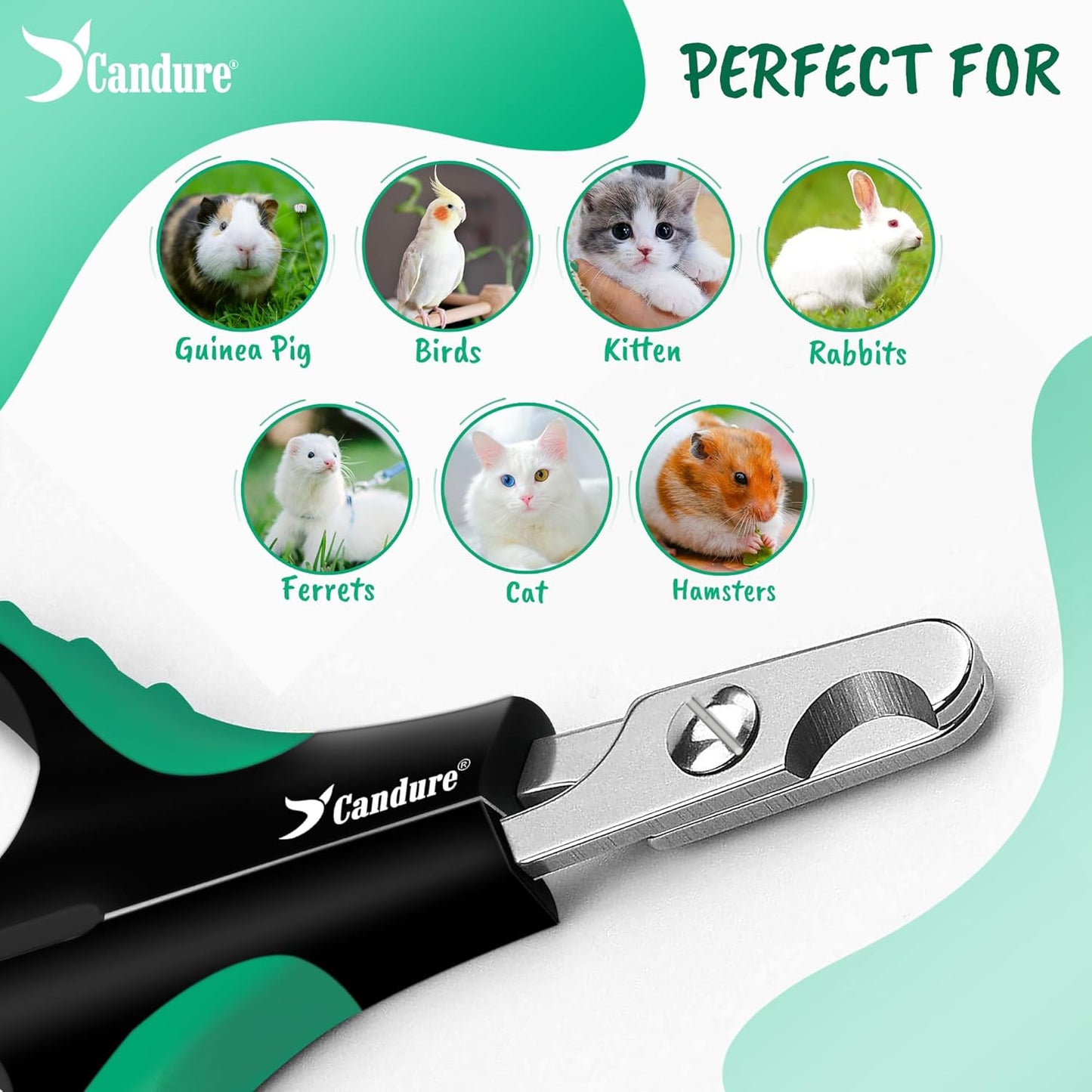 Candure Cat Nail Clippers Stainless Steel Cat Claw Trimmers for Rabbits,Guinea Pigs, Birds, Puppies, Kittens and Small Animals- Pet Nail Clipper for Professional and Home Use 3.5" (Green)