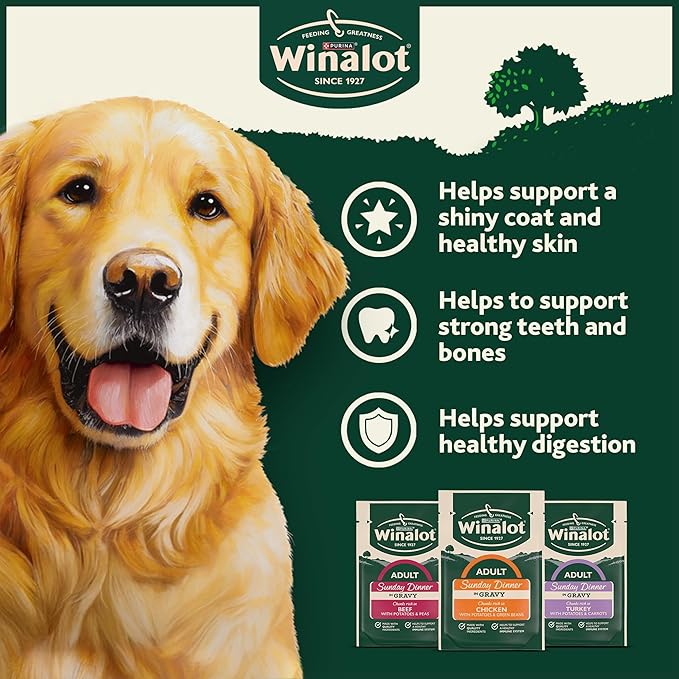 WINALOT Sunday Dinner Mixed in Gravy Wet Dog Food Pouches 40x100g