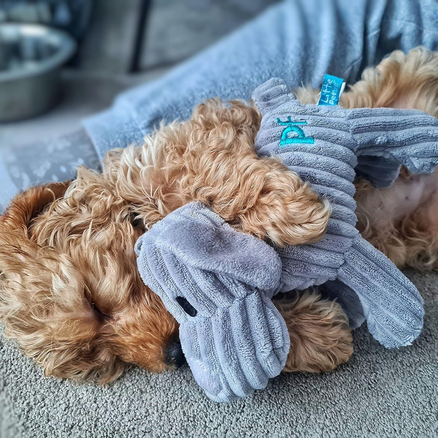 Petface (Little Petface) Freddi Cord, Plush Puppy Dog Toy