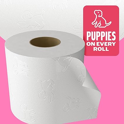 Andrex Family Soft Toilet Tissue 45 Rolls (Previously Andrex Gentle Clean) Gentle on your Family’s skin– Bulk Pack of 45 Toilet Rolls, FSC Certified