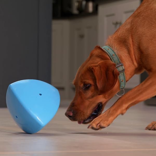 Roolo Dog Treat Dispenser Toy - Interactive Enrichment & Puzzle Feeder for Dogs - Durable Slow Feeder for Mental Stimulation, Boredom Relief & Reward-Based Play