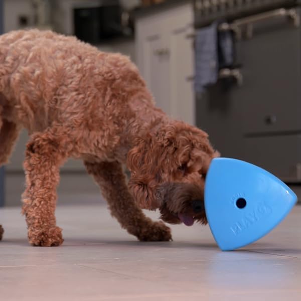 Roolo Dog Treat Dispenser Toy - Interactive Enrichment & Puzzle Feeder for Dogs - Durable Slow Feeder for Mental Stimulation, Boredom Relief & Reward-Based Play