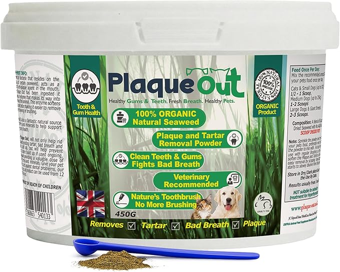 PLAQUE OUT 450g Pot - Plaque Off Remover - 100% Natural and Organic Seaweed Powder for Dogs & Cats - Dog Teeth Cleaning, Plaque Removal, Pet Dental Care, Bad Breath, Gum Care and Tartar Control