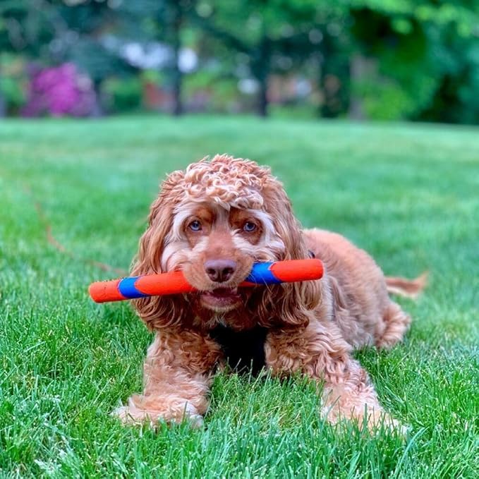 Chuckit! Ultra Fetch Stick Outdoor Dog Toy, for All Breed Sizes