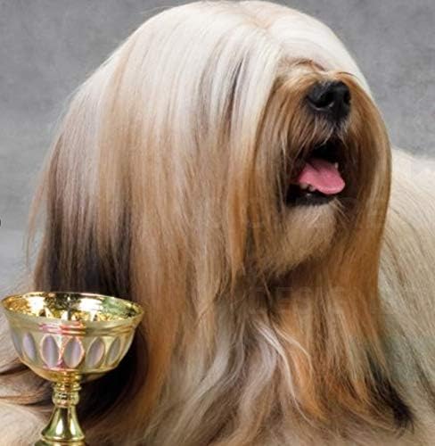 GROOM PROFESSIONAL Baby Fresh Dog Shampoo - Soothing Baby Powder Dog Shampoo - Gentle for Sensitive or Itchy Skin - Removes Dandruff & Smelly Puppy Odours, w/Aloe Vera to Help Itching Relief, 1L