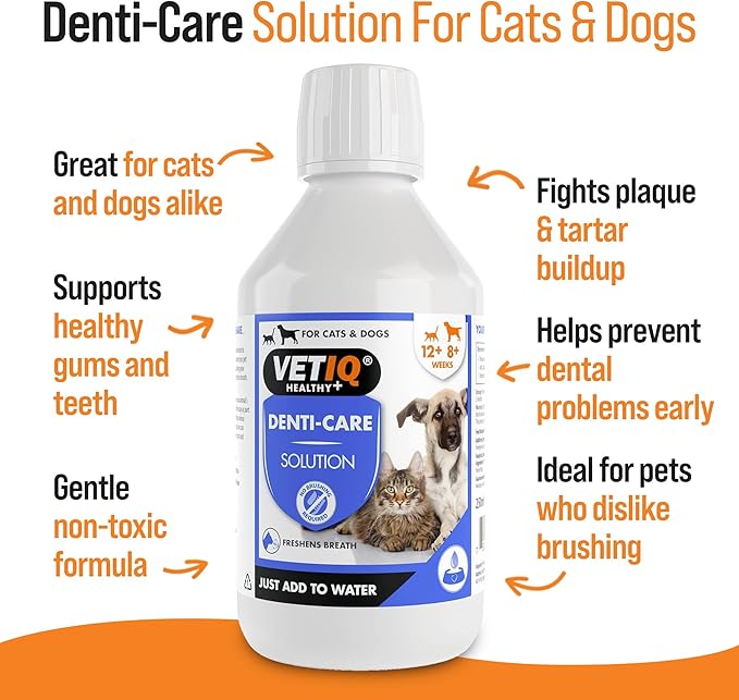 VETIQ Denti-Care Solution For Cats & Dogs, Simply Add to Drinking Water to Reduce Dental Plaque and Freshen Bad Breath, 250 ml (Pack of 1)