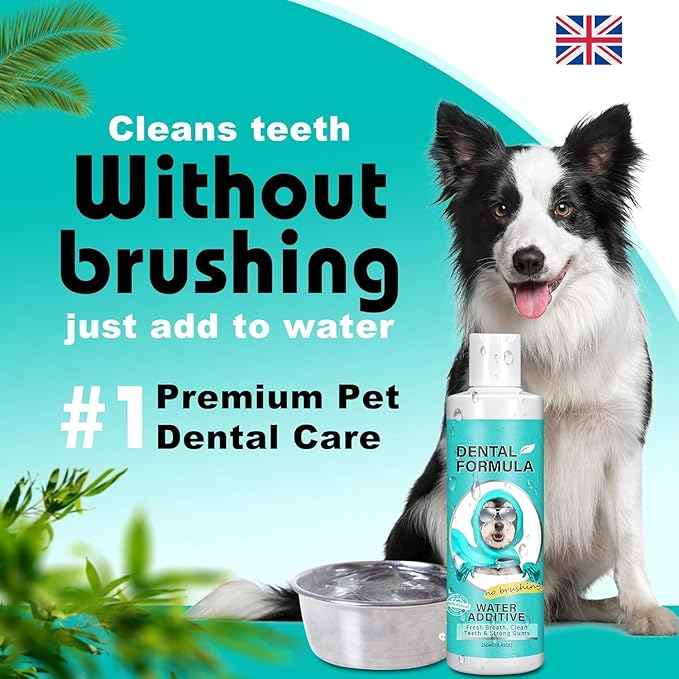 Bailey & buddies Dental Formula Water Additive For Dogs & Cats - Clean Teeth, Healthy Gums & Fresh Breath - Manage Plaque & Tartar Build-Up - No Brushing Needed - Oral Health (Single Pack)