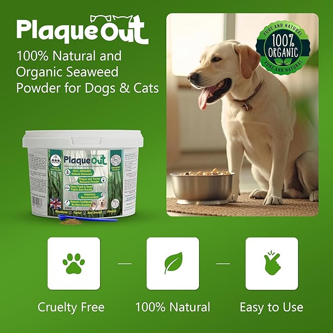PLAQUE OUT 450g Pot - Plaque Off Remover - 100% Natural and Organic Seaweed Powder for Dogs & Cats - Dog Teeth Cleaning, Plaque Removal, Pet Dental Care, Bad Breath, Gum Care and Tartar Control