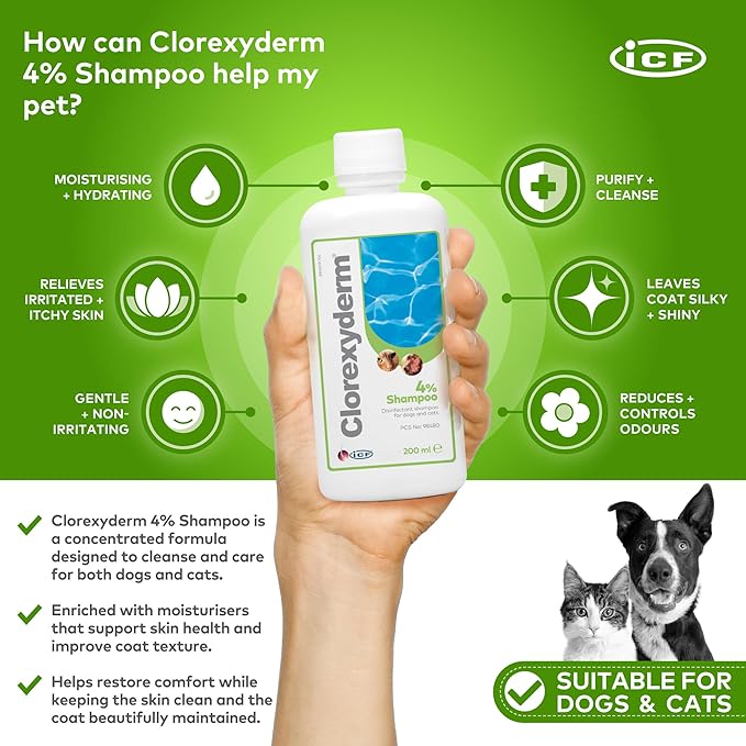 ICF | Clorexyderm 4% Dog Shampoo for Itchy Skin Relief | Anti Itch + Antifungal + Antibacterial Shampoo for Pets with Sensitive Skin 200ml
