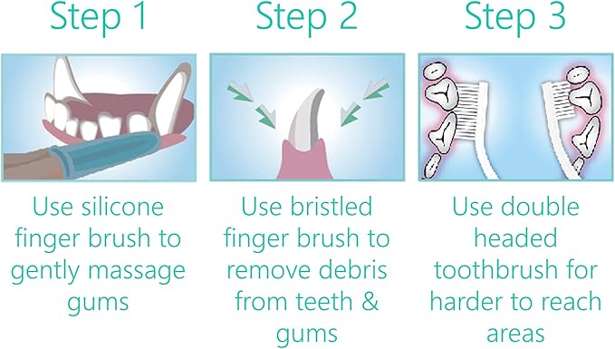 Dental Care Kit for Dogs & Cats Toothpaste (100g) with 3 x Toothbrushes to Clean Pet's Teeth, Remove Plaque and Tartar, Improve Gum and Tooth Health & Pet Oral Hygiene