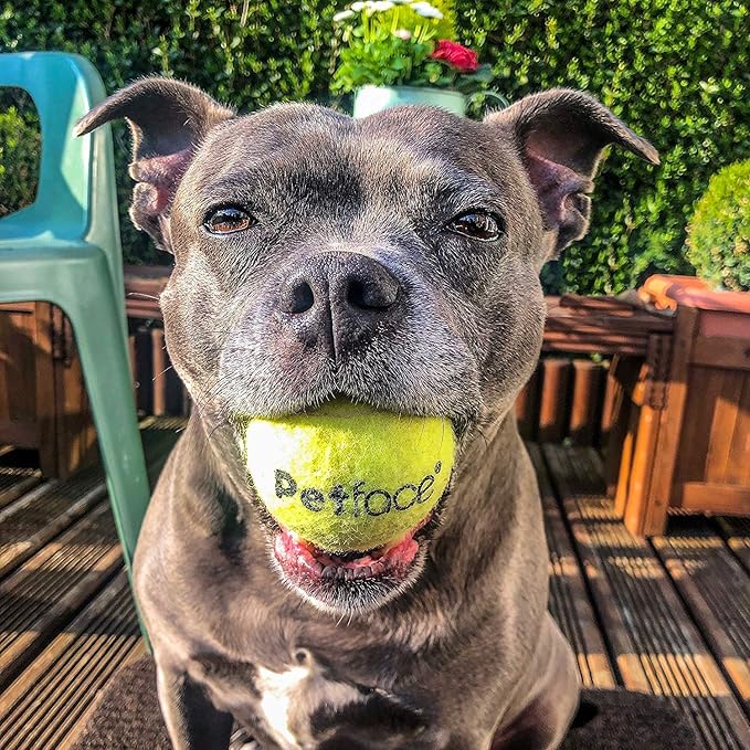 Petface Super Tennis Balls For Dogs, Throw and Fetch, Outdoor Exercise (Pack of 12)