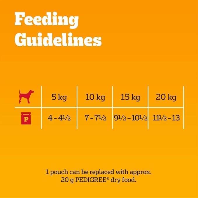 PEDIGREE Adult Dog Food Pouches Mixed Selection in Jelly 40 x 100 g Mega Pack