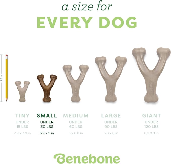 Benebone Indestructible Wishbone Dog Chew Toy for Aggressive Chewers, Long Lasting Tough Boredom Breaker for Dogs, Real Bacon Flavour, For Small Dogs, Made in the USA