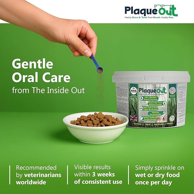PLAQUE OUT 450g Pot - Plaque Off Remover - 100% Natural and Organic Seaweed Powder for Dogs & Cats - Dog Teeth Cleaning, Plaque Removal, Pet Dental Care, Bad Breath, Gum Care and Tartar Control