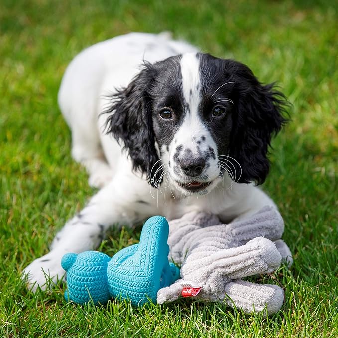 Petface Little Petface Teddy Bear Latex Chew Dog Toy, Blue (Pack of 1)