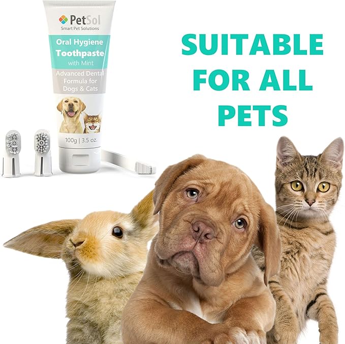 Dental Care Kit for Dogs & Cats Toothpaste (100g) with 3 x Toothbrushes to Clean Pet's Teeth, Remove Plaque and Tartar, Improve Gum and Tooth Health & Pet Oral Hygiene