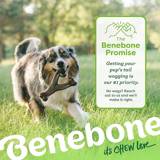 Benebone Indestructible Wishbone Dog Chew Toy for Aggressive Chewers, Long Lasting Tough Boredom Breaker for Dogs, Real Bacon Flavour, For Small Dogs, Made in the USA