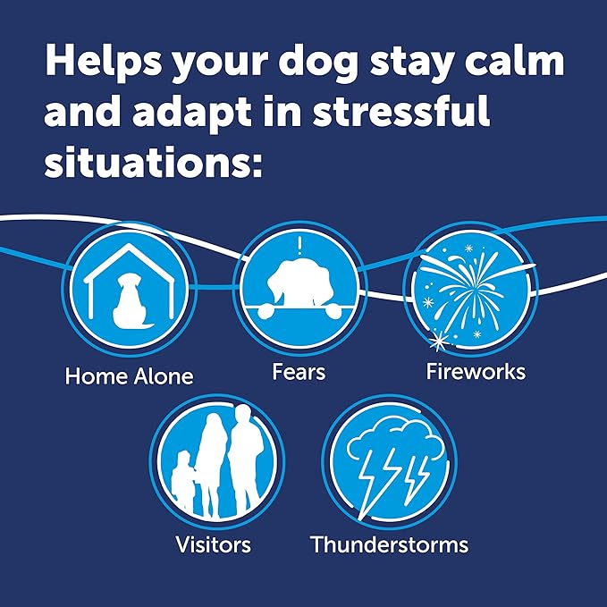 Adaptil Calm Home Diffuser For Dogs With 30 Day Refill, Adaptil Dog Calming Plug In Pheromone Diffuser To Help Reduce Anxiety And Stress In Pet Dogs, Pet Diffuser Helps Anxious Dogs Stay Calmer