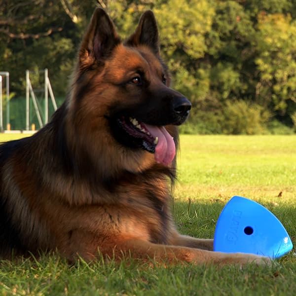 Roolo Dog Treat Dispenser Toy - Interactive Enrichment & Puzzle Feeder for Dogs - Durable Slow Feeder for Mental Stimulation, Boredom Relief & Reward-Based Play