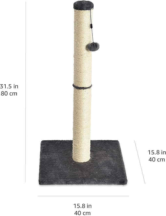 Shopify Basics Cat Scratching Post for Indoor Cats, Standard with Dangling Toy, 80 cm, Grey