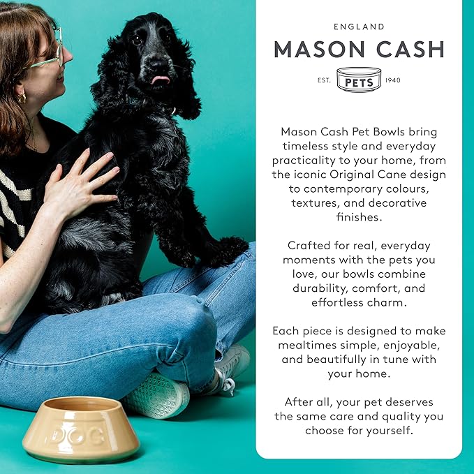 Mason Cash Colour Mix Cream Cat Saucer 13cm |200ml Durable Stoneware Pet Bowl for Food & Water | Dishwasher, Freezer & Microwave Safe