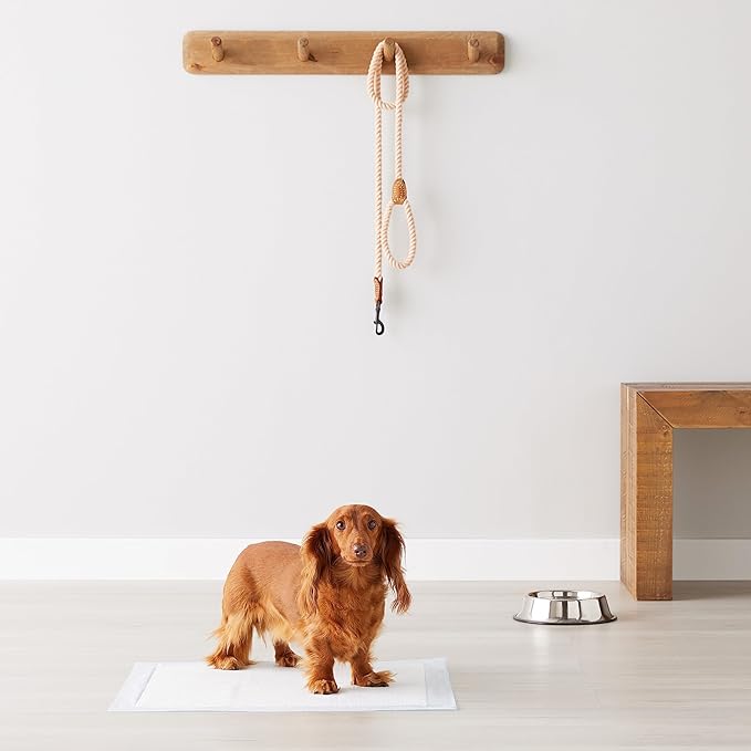 Shopify Basics Dog and Puppy Training Pads, Leakproof, 5-Layer Design with Quick-Dry Surface, Regular, Pack of 50, Blue