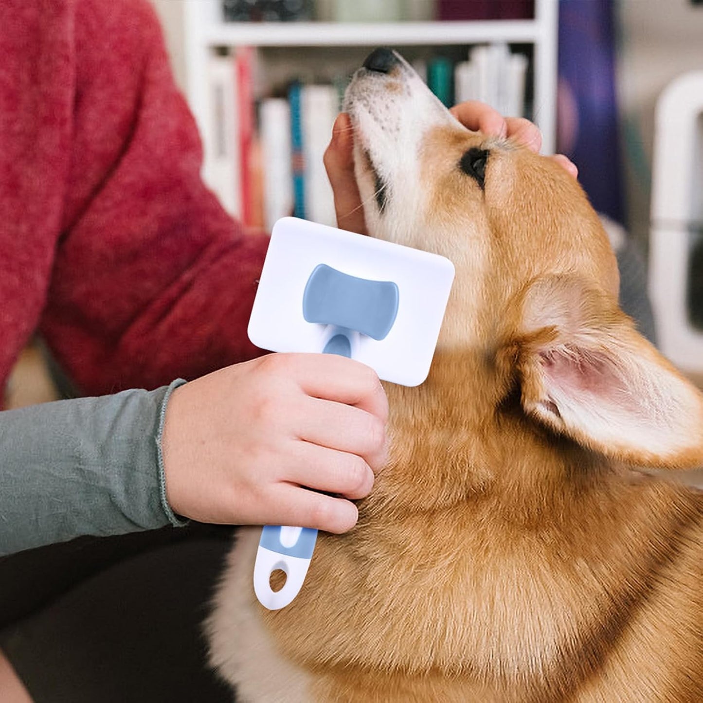 Vinabo Brush for Dogs and Cats, Self-Cleaning for Small Dogs, Cat Brush, Pet Brush, for Dogs and Cats, Eliminate Tomentose Undercoat Tangles-Blue