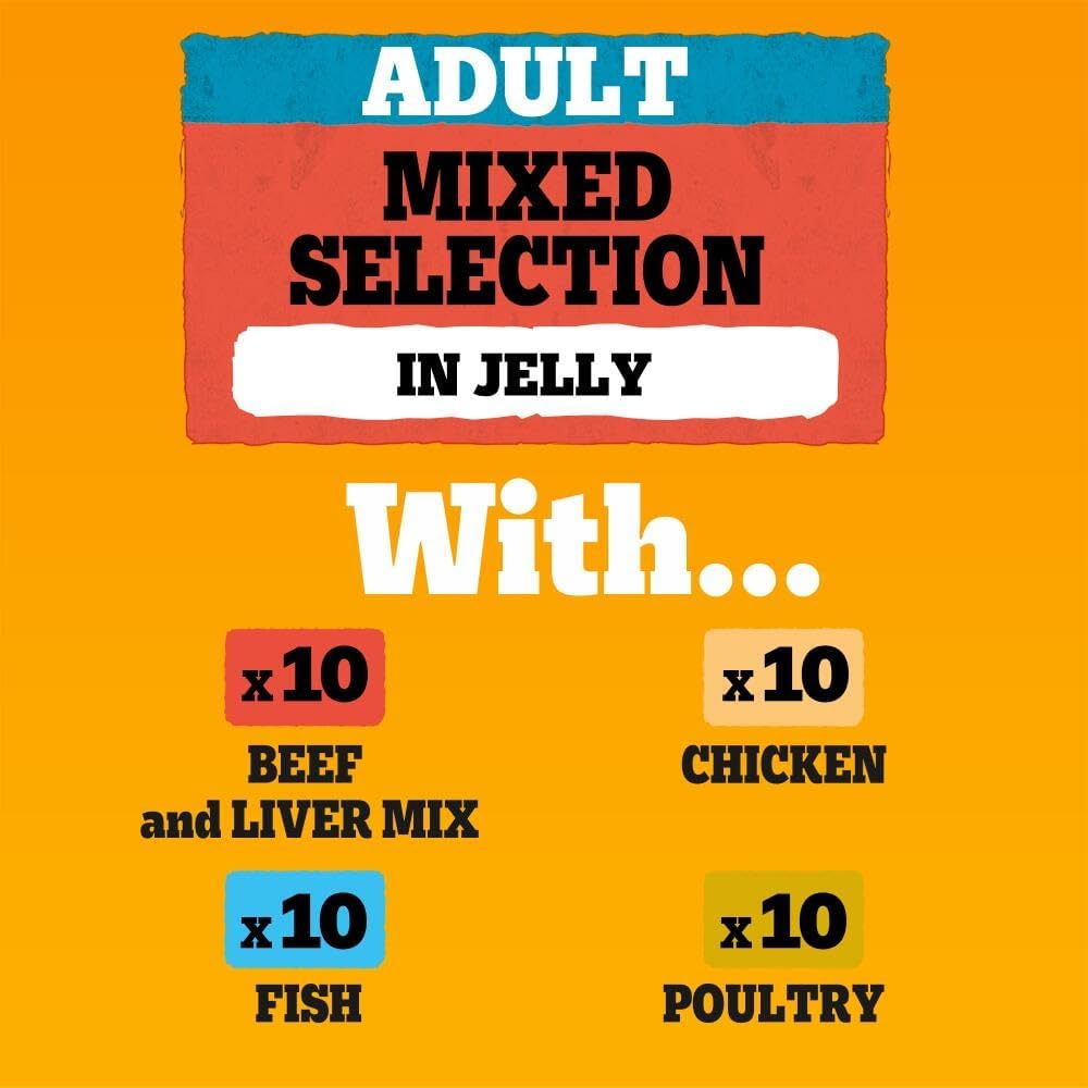PEDIGREE Adult Dog Food Pouches Mixed Selection in Jelly 40 x 100 g Mega Pack
