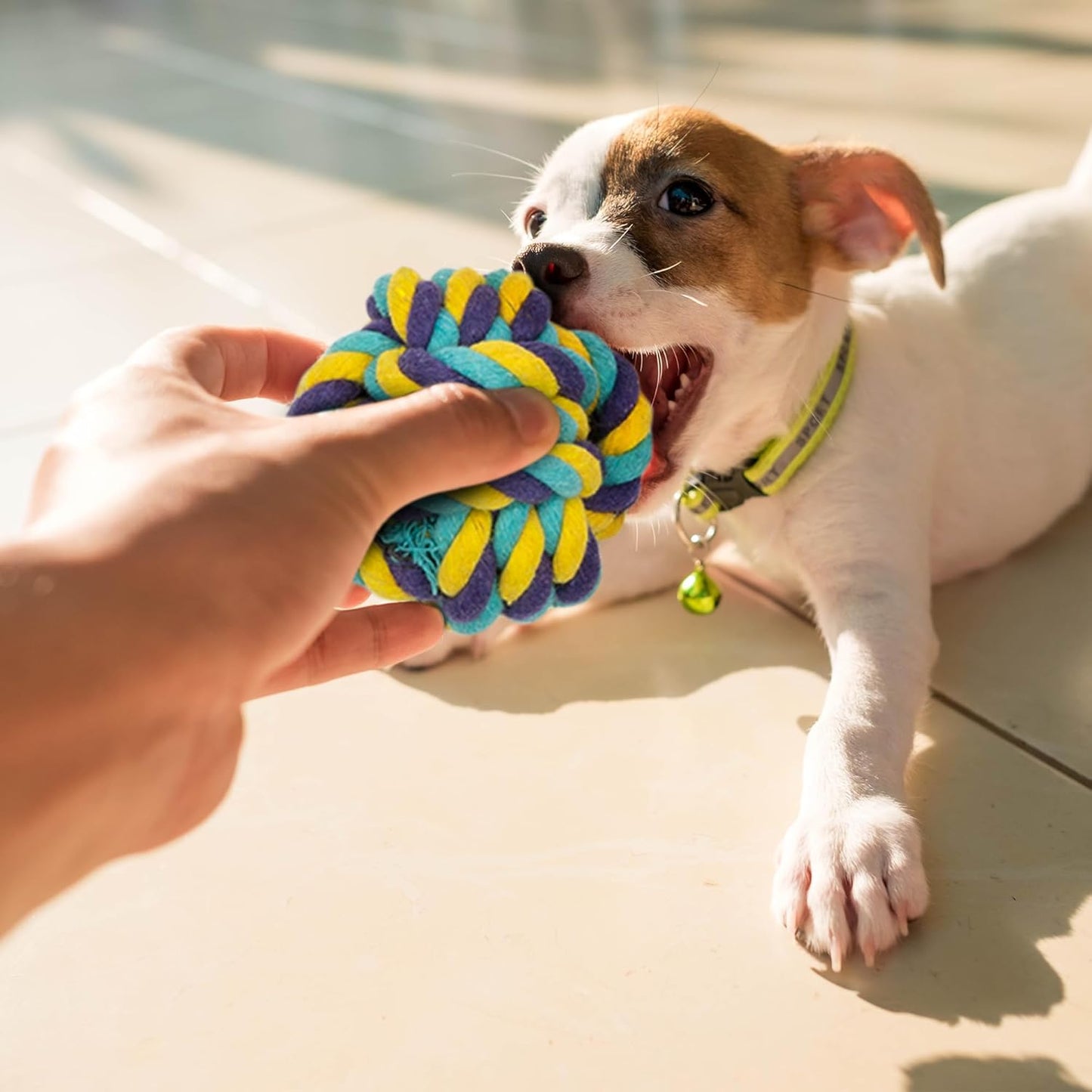 Fur & Bone 10 Pcs Dog Toys - All Breeds Indestructible Dog Toy - Chew Toys for Aggressive Chewers - Natural Cotton Puppy Tug of War Rope - for Boredom, Pulling, Teeth Cleaning