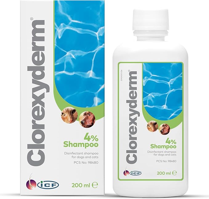 ICF | Clorexyderm 4% Dog Shampoo for Itchy Skin Relief | Anti Itch + Antifungal + Antibacterial Shampoo for Pets with Sensitive Skin 200ml